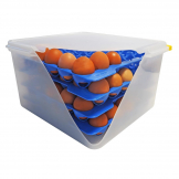 Araven Airtight Container with 4 Egg Trays GN 2-3 200mm